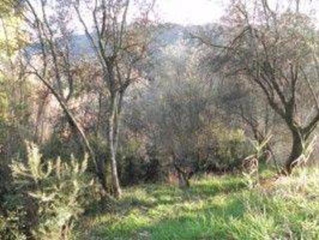 Terreno in vendita a Marignana, Camaiore