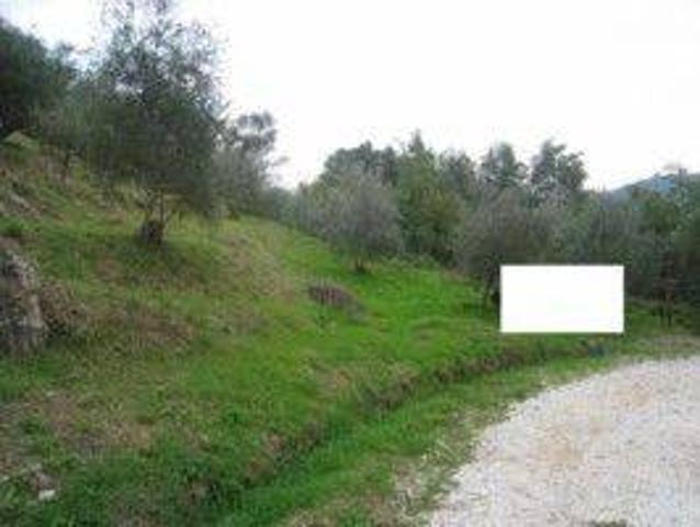 Terreno in vendita a Camaiore, Toscana
