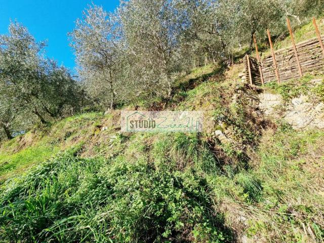 Terreno in vendita a Camaiore, Toscana