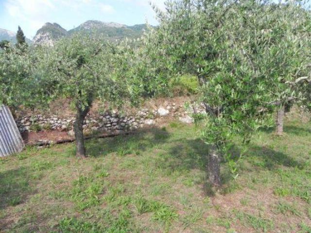 Terreno in vendita a Lombrici, Camaiore