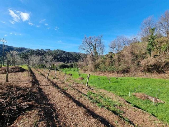 Terreno in vendita a Camaiore, Toscana