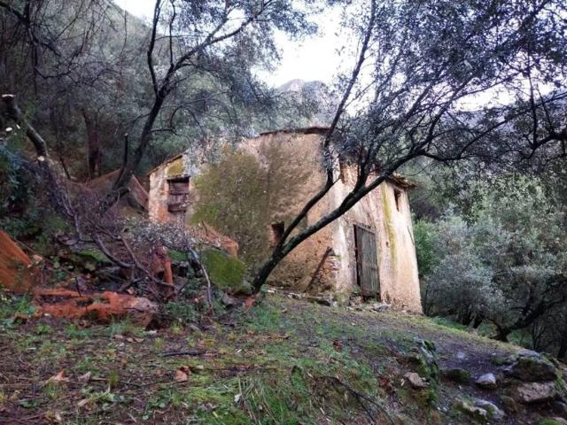 Terreno in vendita a Camaiore, Toscana