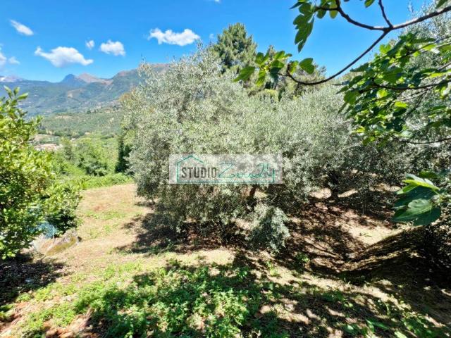 Terreno in vendita a Montemagno, Camaiore