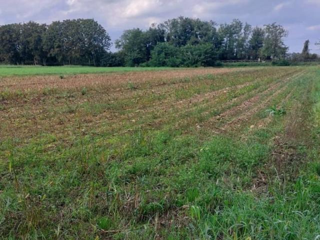 Terreno in vendita a Cambiago, Lombardia