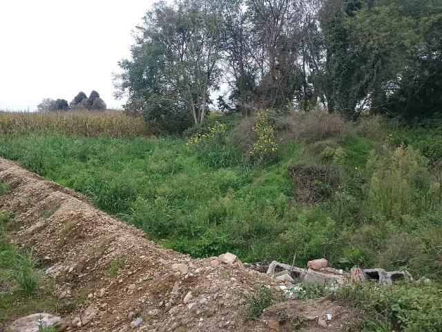 Terreno in vendita a Piemonte, Novara