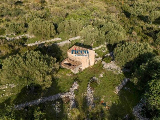 Terreno in vendita a Camerota, Campania