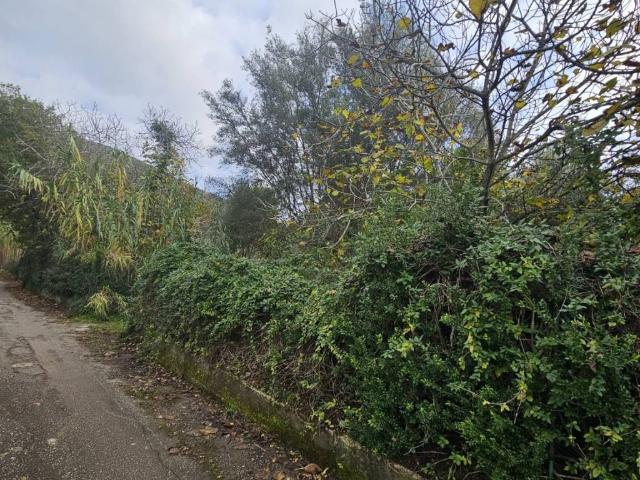 Terreno in vendita a Camigliano, Campania