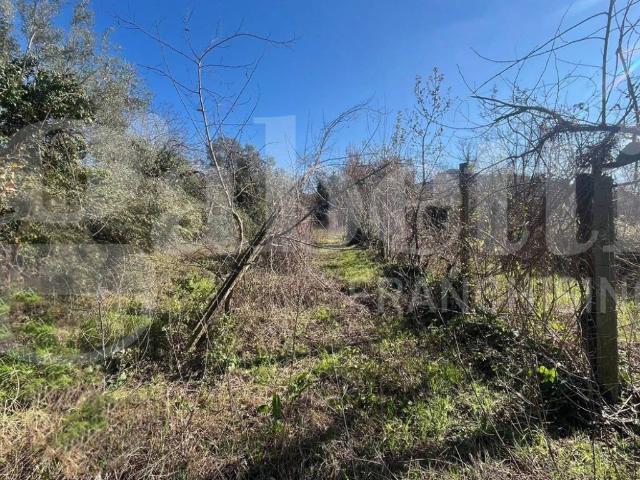 Terreno in vendita a Camigliano, Campania