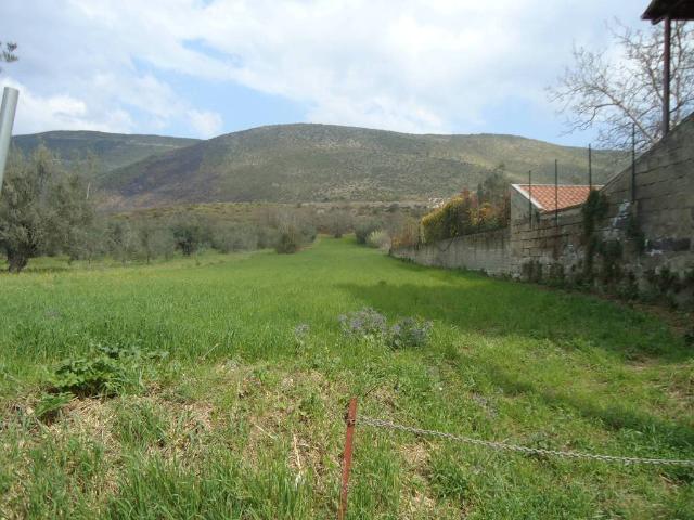 Terreno in vendita a Camigliano, Campania