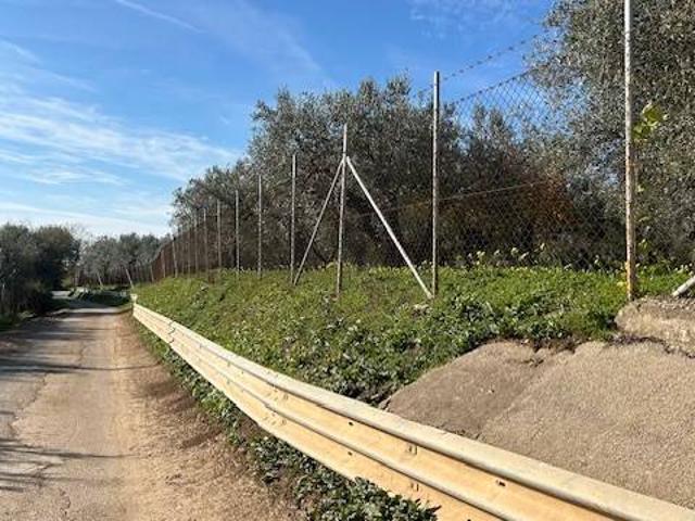 Terreno in vendita a Pezzarotonda, Campagna