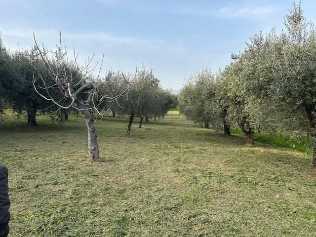 Terreno in vendita a Campagna, Campania