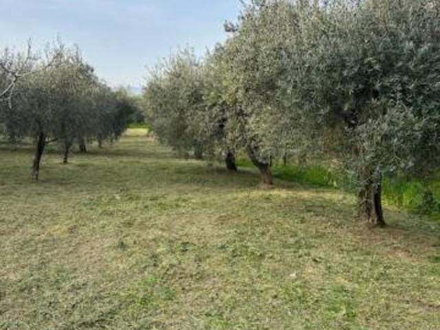 Terreno in vendita a Campagna, Campania