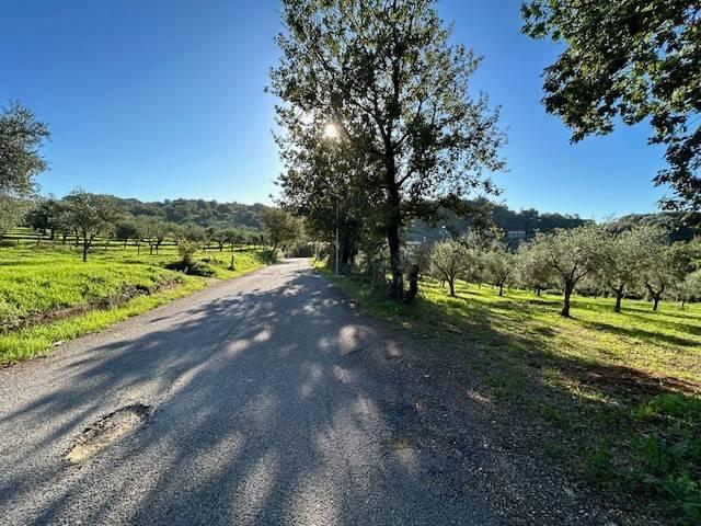 Terreno in vendita a Campagna, Campania