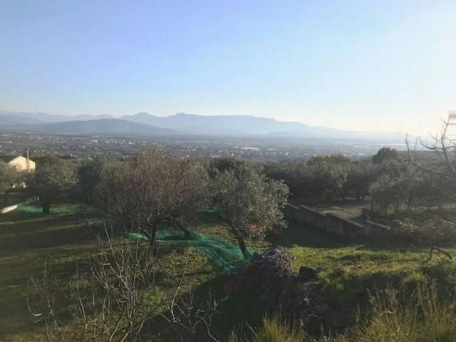 Terreno in vendita a Santa Maria la Nova, Campagna
