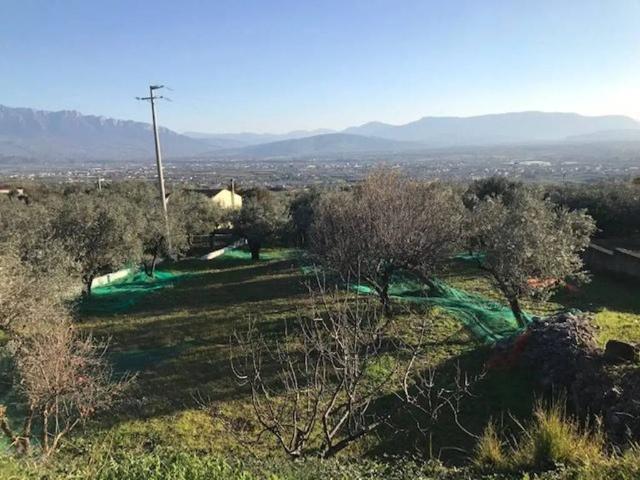 Terreno in vendita a Santa Maria la Nova, Campagna