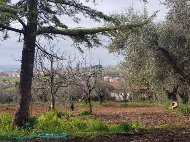 Terreno in vendita a Campagna, Campania