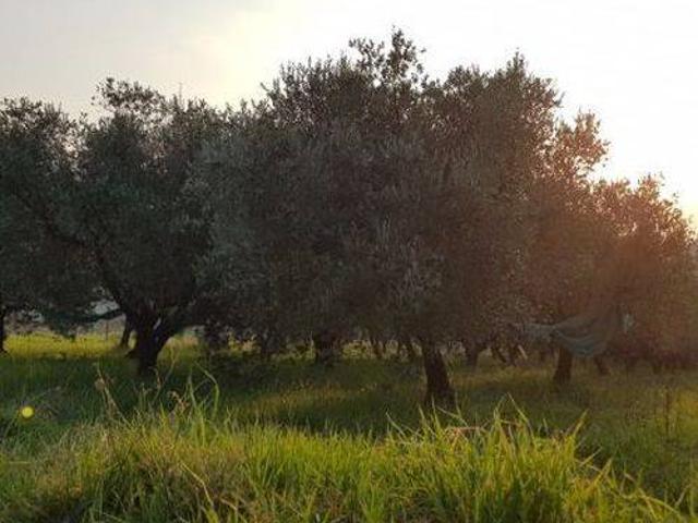 Terreno in vendita a Campagna, Campania