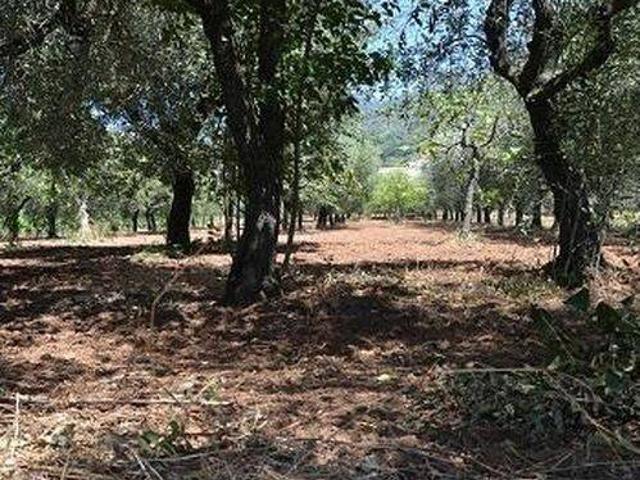 Terreno in vendita a Campagna, Campania
