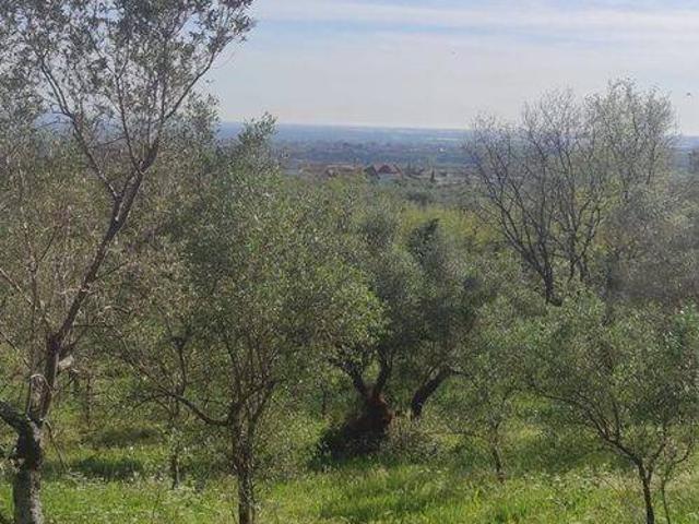 Terreno in vendita a Campagna, Campania