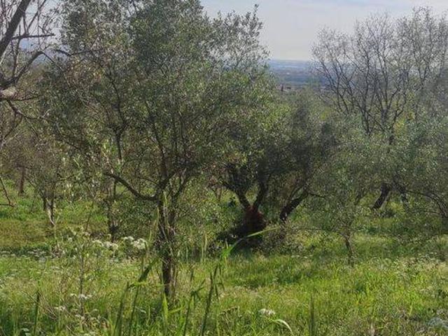 Terreno in vendita a Campagna, Campania