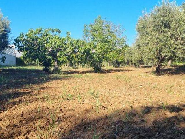 Terreno in vendita a Pezzarotonda, Campagna