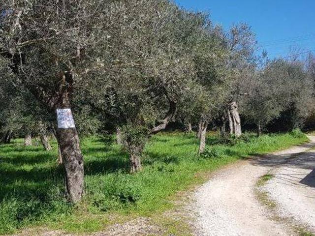Terreno in vendita a Campagna, Campania