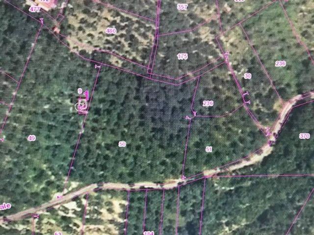 Terreno in vendita a Campagna, Campania
