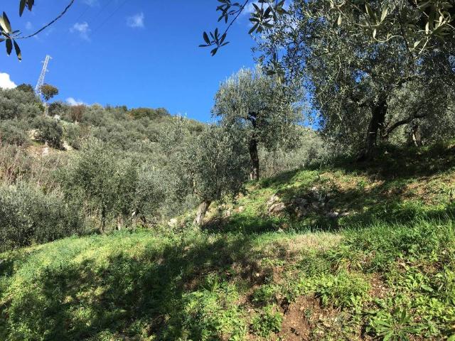 Terreno in vendita a Campagna, Campania