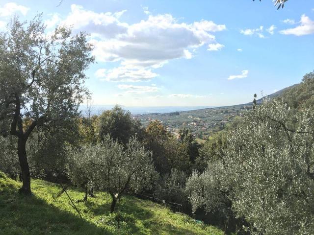 Terreno in vendita a Campagna, Campania