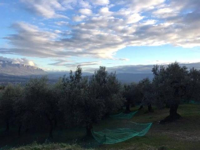 Terreno in vendita a Santa Maria la Nova, Campagna