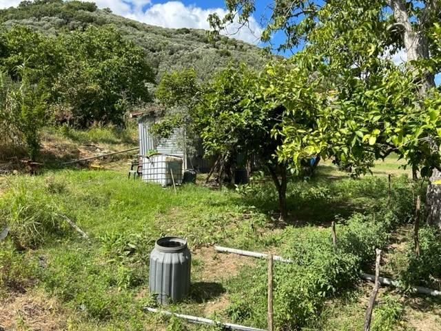 Terreno in vendita a Santa Maria la Nova, Campagna