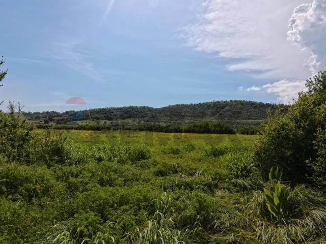Terreno in vendita a Roma Capitale, Lazio