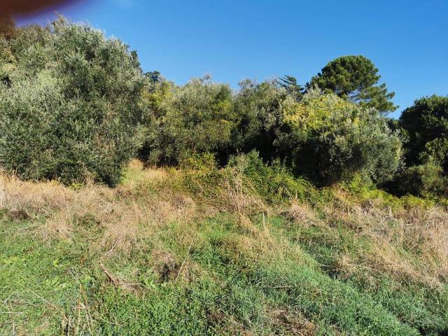 Terreno in vendita a Roma Capitale, Lazio