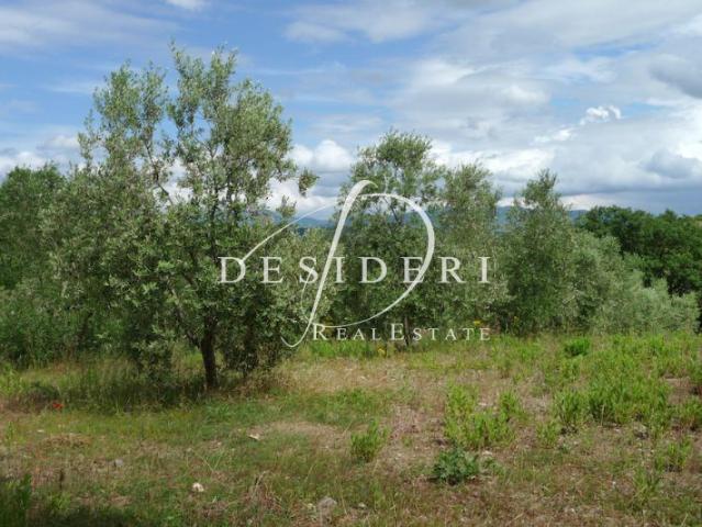 Terreno in vendita a Campagnatico, Toscana