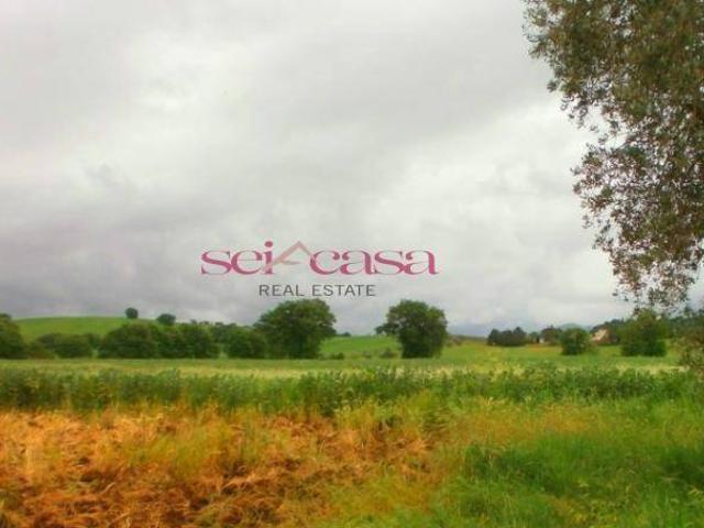 Terreno in vendita a Campagnatico, Toscana