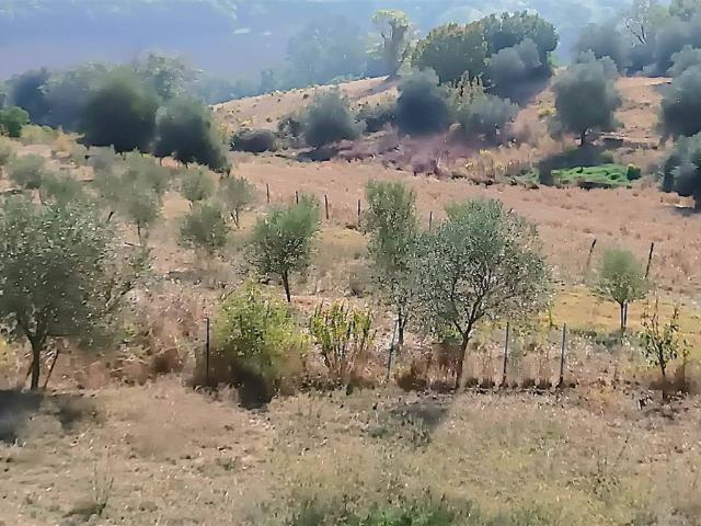 Terreno in vendita a Casetta Migliorini, Campagnatico
