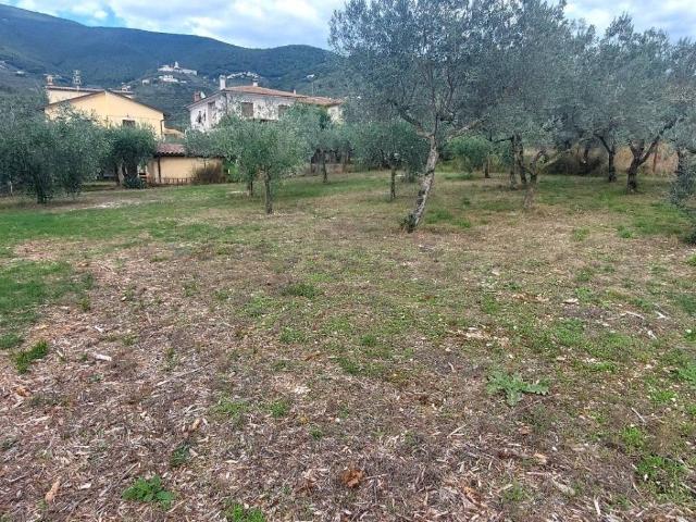 Terreno in vendita a Campello Sul Clitunno, Umbria