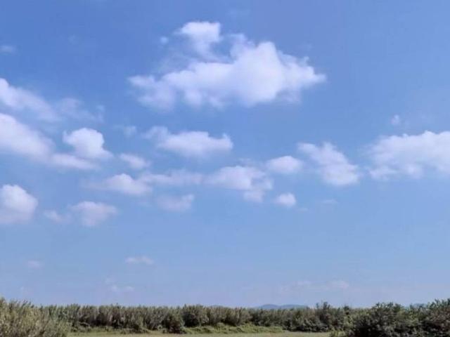 Terreno in vendita a Campi Bisenzio, Toscana