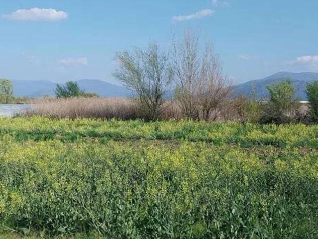 Terreno in vendita a Santa Maria, Campi Bisenzio
