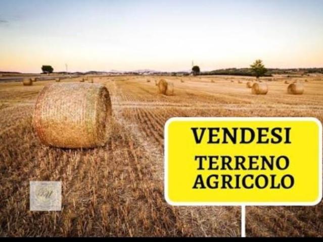 Terreno in vendita a Campi Bisenzio, Toscana