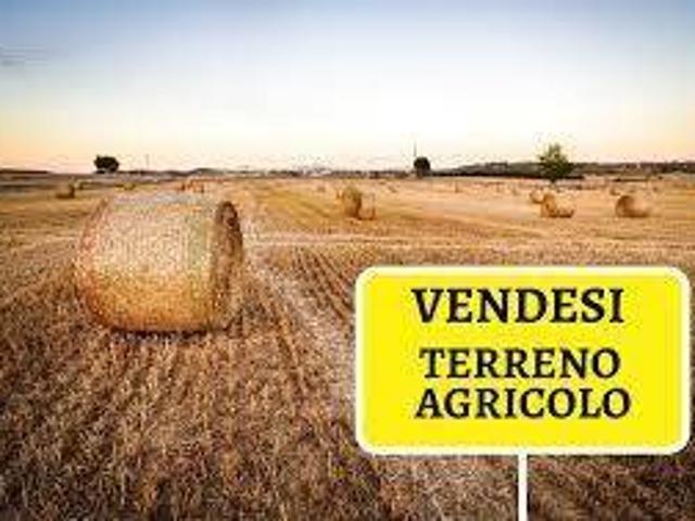 Terreno in vendita a Campi Bisenzio, Toscana