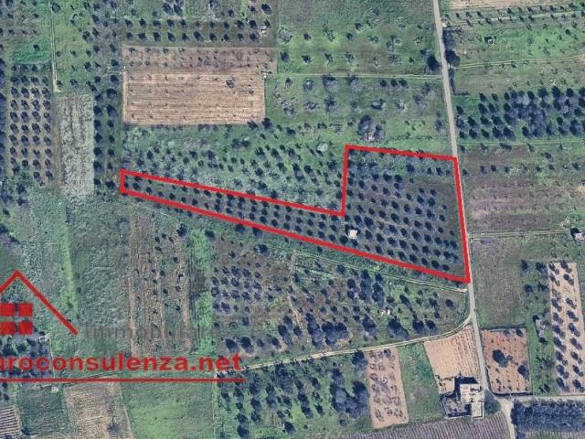 Terreno in vendita a Puglia, Lecce