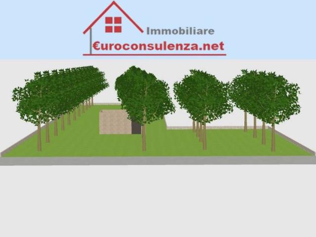 Terreno in vendita a Puglia, Lecce