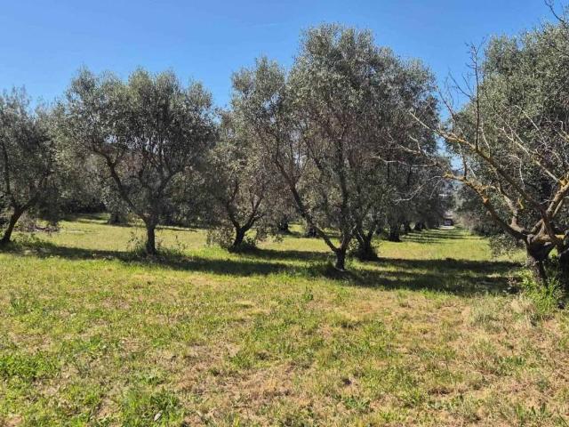 Terreno in vendita a Venturina Terme, Campiglia Marittima