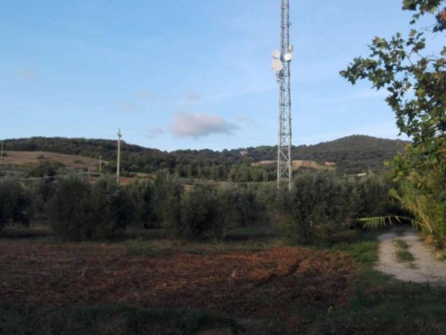 Terreno in vendita a Campiglia Marittima, Toscana