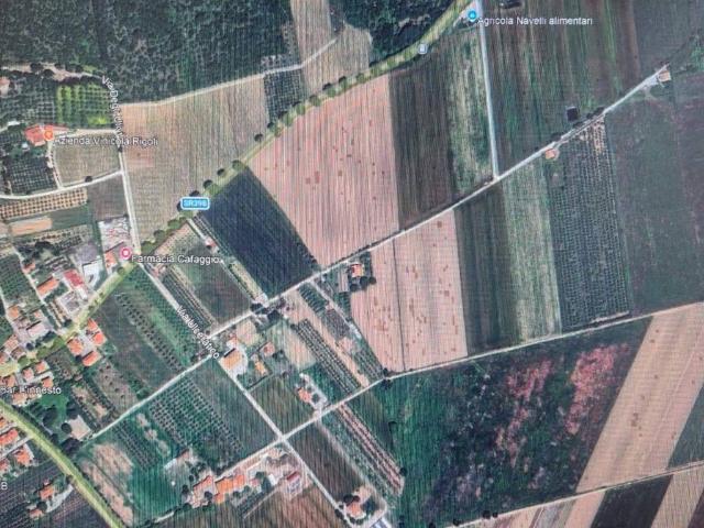 Terreno in vendita a Campiglia Marittima, Toscana