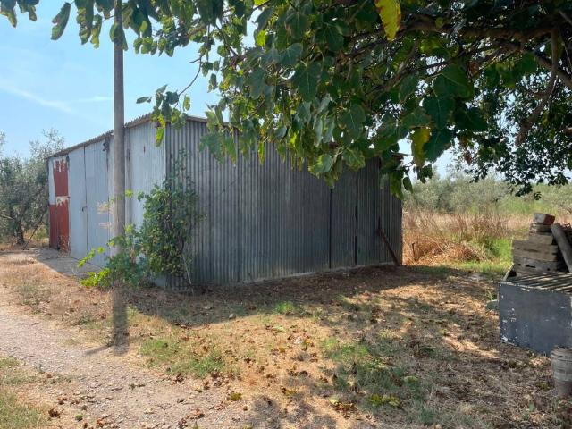 Terreno in vendita a Stazione di Campiglia Marittima, Campiglia Marittima