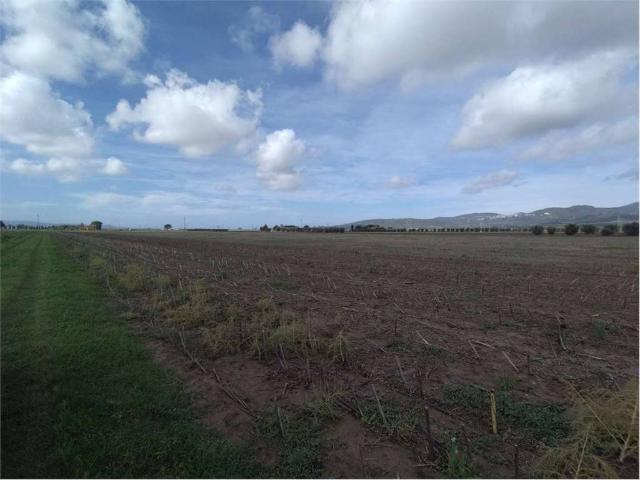 Terreno in vendita a Campiglia Marittima, Toscana