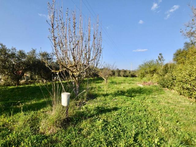 Terreno in vendita a Venturina Terme, Campiglia Marittima