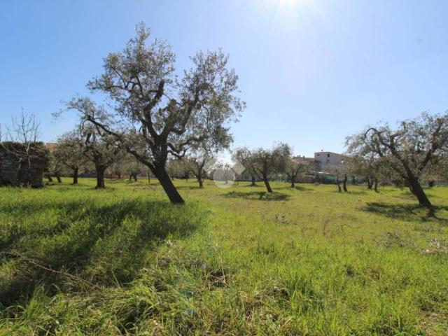 Terreno in vendita a Campli, Abruzzo